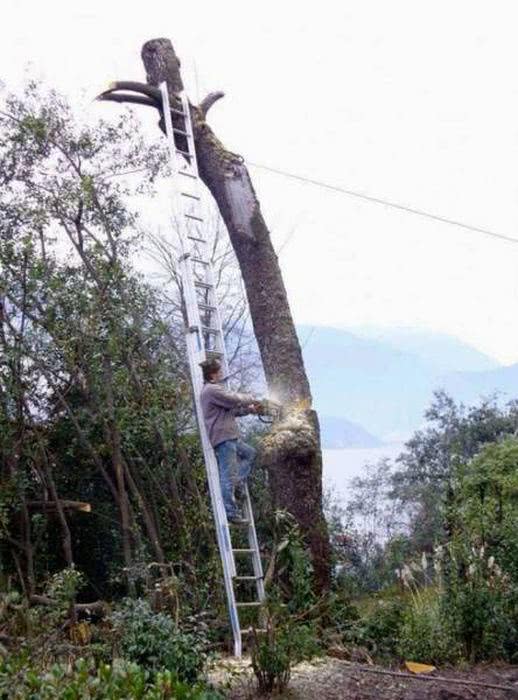 αγόρι κόβει δέντρο