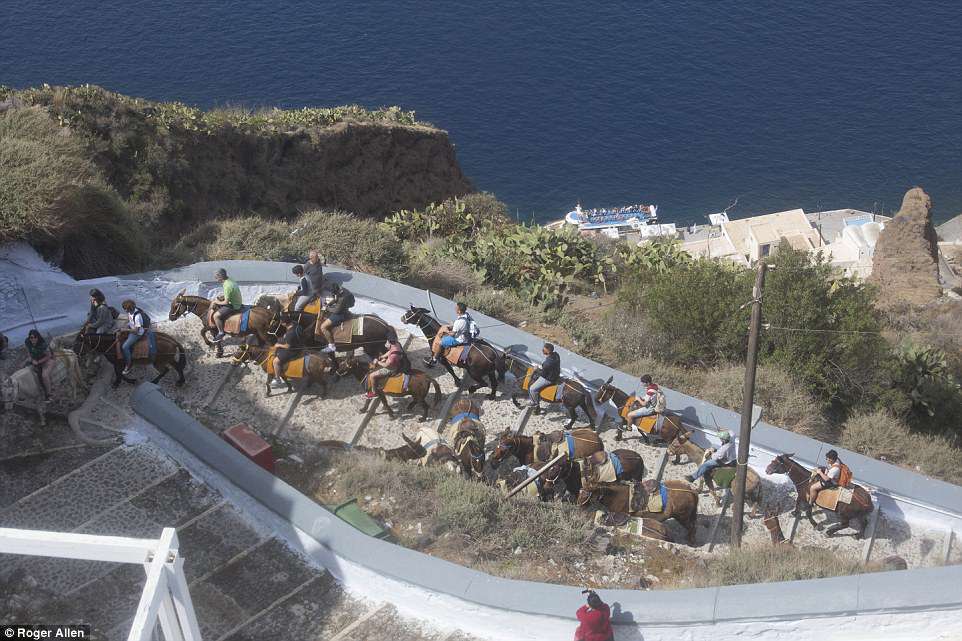 στη σειρά ζώα με αναβάτες