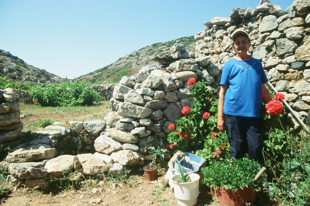 νησί κίναρος