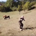 βοσκός σε πανικό