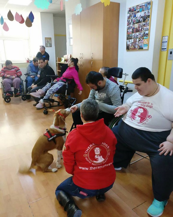 therapy dogs σε νοσοκομείο