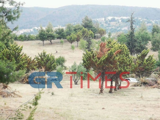 η σορός, βρισκόταν πίσω από το νοσοκομείο παπαγεωργίου
