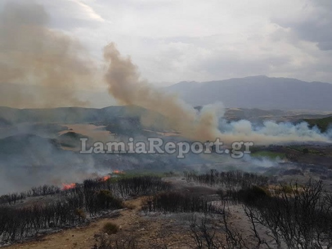 πυρκαγιά έχει ξεσπάσει και στην αγία άννα