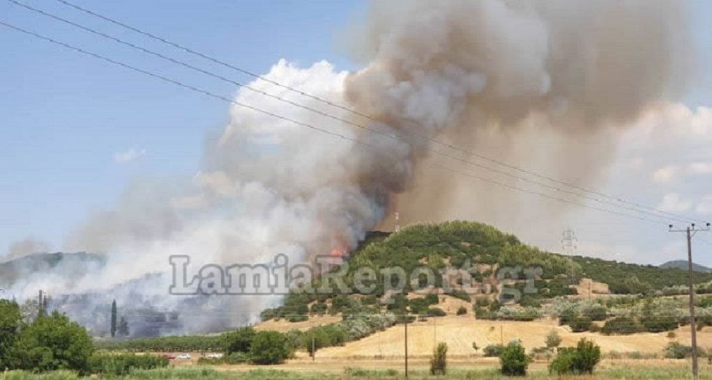 μεγάλη πυρκαγιά σε δασική έκταση της λαμίας